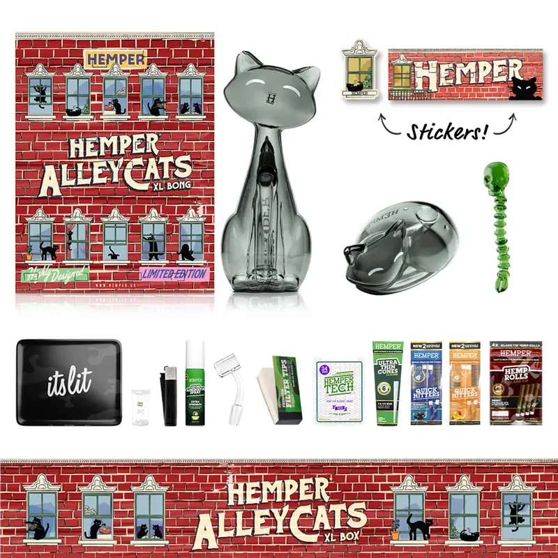 Alley Cats Xl Bong Box 1